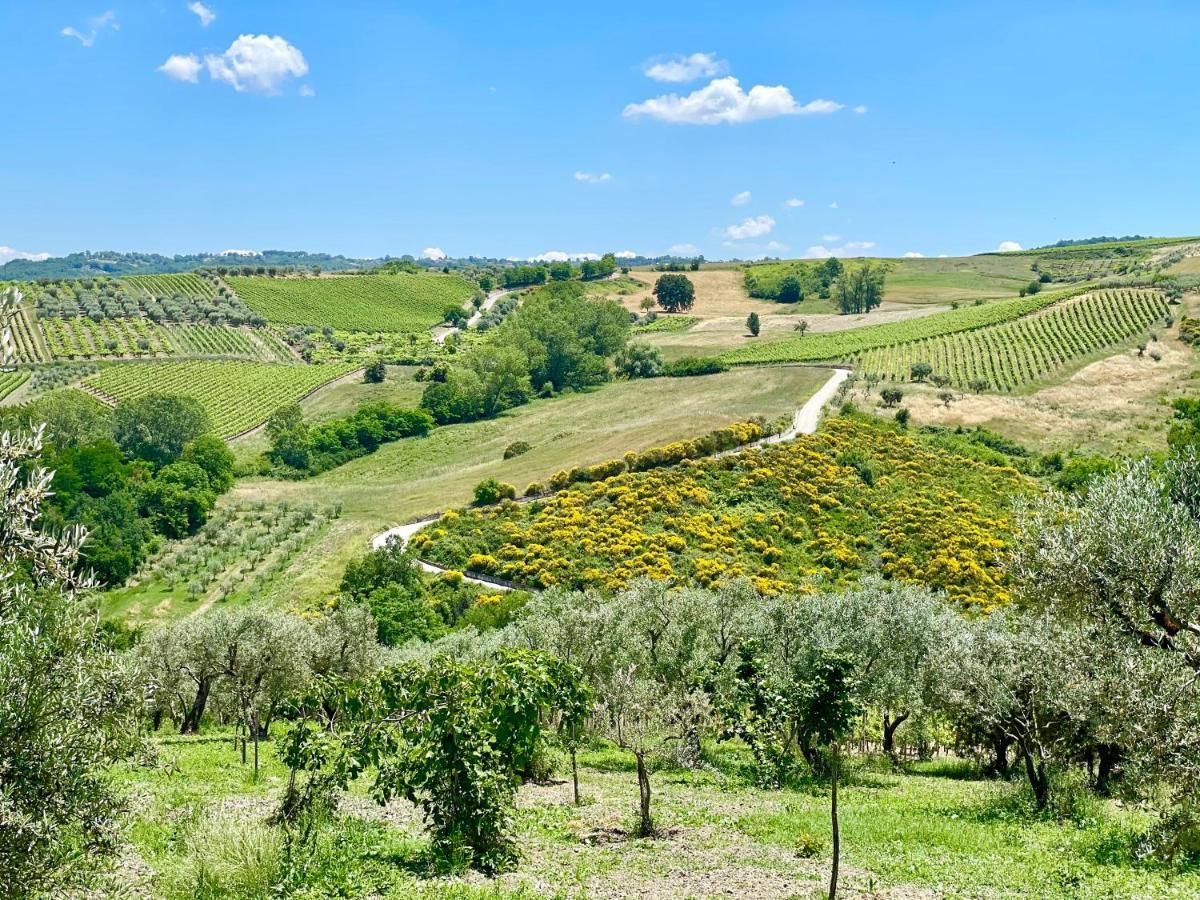 الشقق الفندقية Paternopoliفي  Agriturismo Le Masciare المظهر الخارجي الصورة