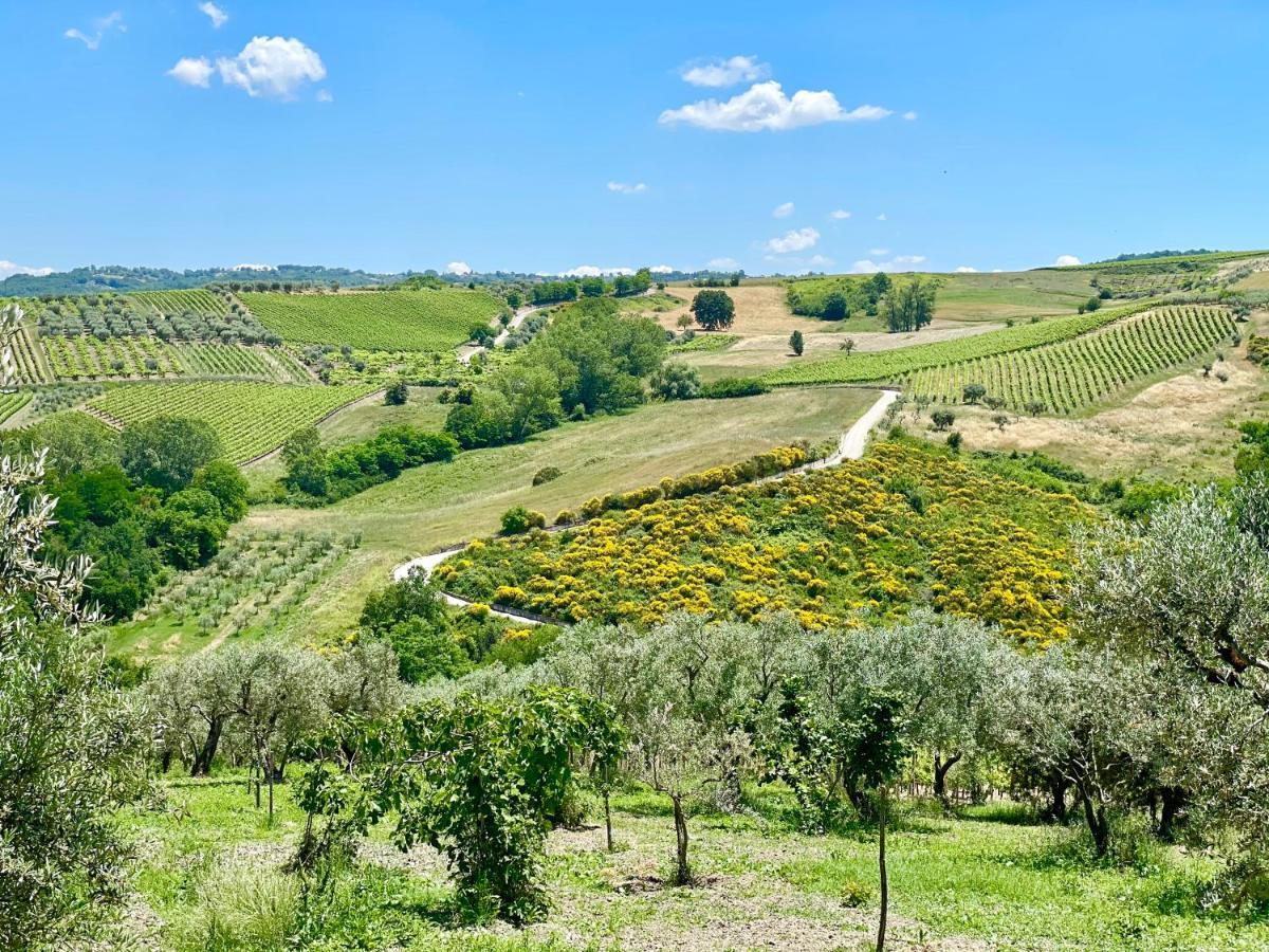 Paternopoli Agriturismo Le Masciare المظهر الخارجي الصورة