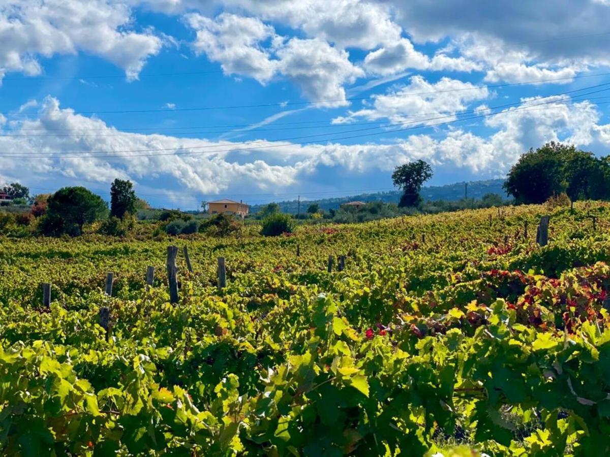 الشقق الفندقية Paternopoliفي  Agriturismo Le Masciare المظهر الخارجي الصورة